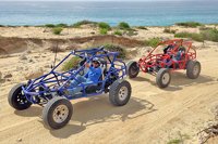 Cabo Dune Buggy Tour