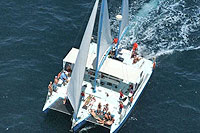 Catamaran Sailing for Groups in Cabo