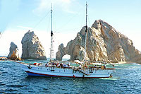 Cabo Legend Snorkeling Tour, Cabo San Lucas