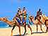 Desert 4x4 Camel Safari