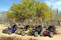 Cabo Dune Buggy Tour