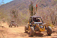 Cabo San Lucas Dune Buggies