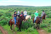 Ensenada Horseback Riding