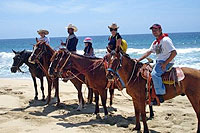 Los Cabos Beach Horseback Riding