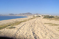 Cabo Horseback Riding Tour