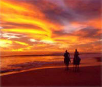 Horseback Riding Sunset Tour