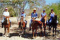 Cabo Horseback Riding Tour