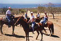 Horseback Riding Cabo