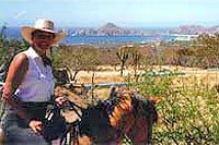 Horseback Riding Cabo