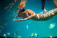 Cabo Snorkeling