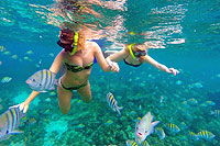 Snorkeling Santa Maria Cove in Cabo San Lucas
