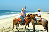 Cabo San Lucas Horseback Riding