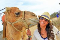 Camel Encounter Los Cabos