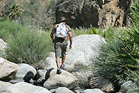 Cabo San Lucas Hiking Tour