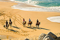 Horseback Riding Cabo