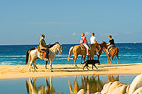 Cabo San Lucas Horseback Riding