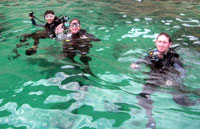 Cabo Scuba Diving
