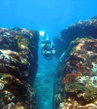 Cabo Power Snorkeling