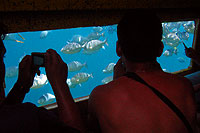 Cabo Submarine Tour