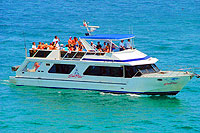 Cabo Whale Watching Tour