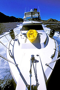 Cabo Yacht Charter