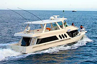 Cabo Fishing - Luxury Yacht