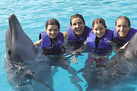 Cabo Dolphins
