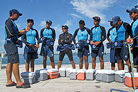 Cabo San Lucas Dolphin Trainers