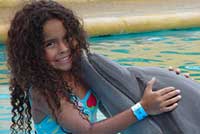 Cabo Dolphin Swim