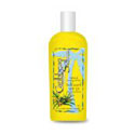 Suncare Sportblock Lotion SPF 15 - SPF15 Sport, 4 oz