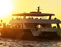Whale Watching and Dinner Cruise