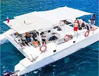 Catamaran Whale Watching Tour