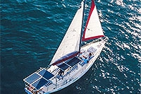cabo sailing boats