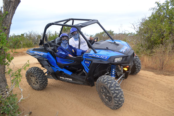 cabo rzr tours