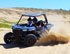 Wild Desert RZR Tour