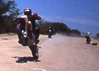 Cabo San Lucas Motorcycle Rental