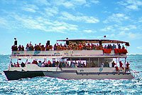 Brunch Cruise in Cabo San Lucas