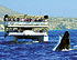 Tour Image