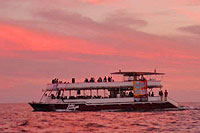Cabo Sunset Cruise
