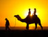 Desert 4x4 Camel Safari
