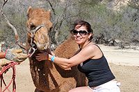 Cabo San Lucas Camel Ride 
