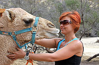 Camel Quest Cabo San Lucas