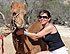 Camel Quest Adventure