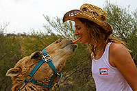 Cabo San Lucas Camel Ride