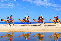 Cabo Camel Riding Tour