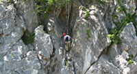 Cabo Rappelling Tour