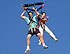 Extreme Sling Swing