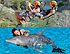 Canopy + Dolphin Encounter