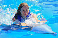 Dolphin Swim Belly Ride Cabo San Lucas
