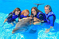 Boogie Board Dolphin Ride - San Jose del Cabo